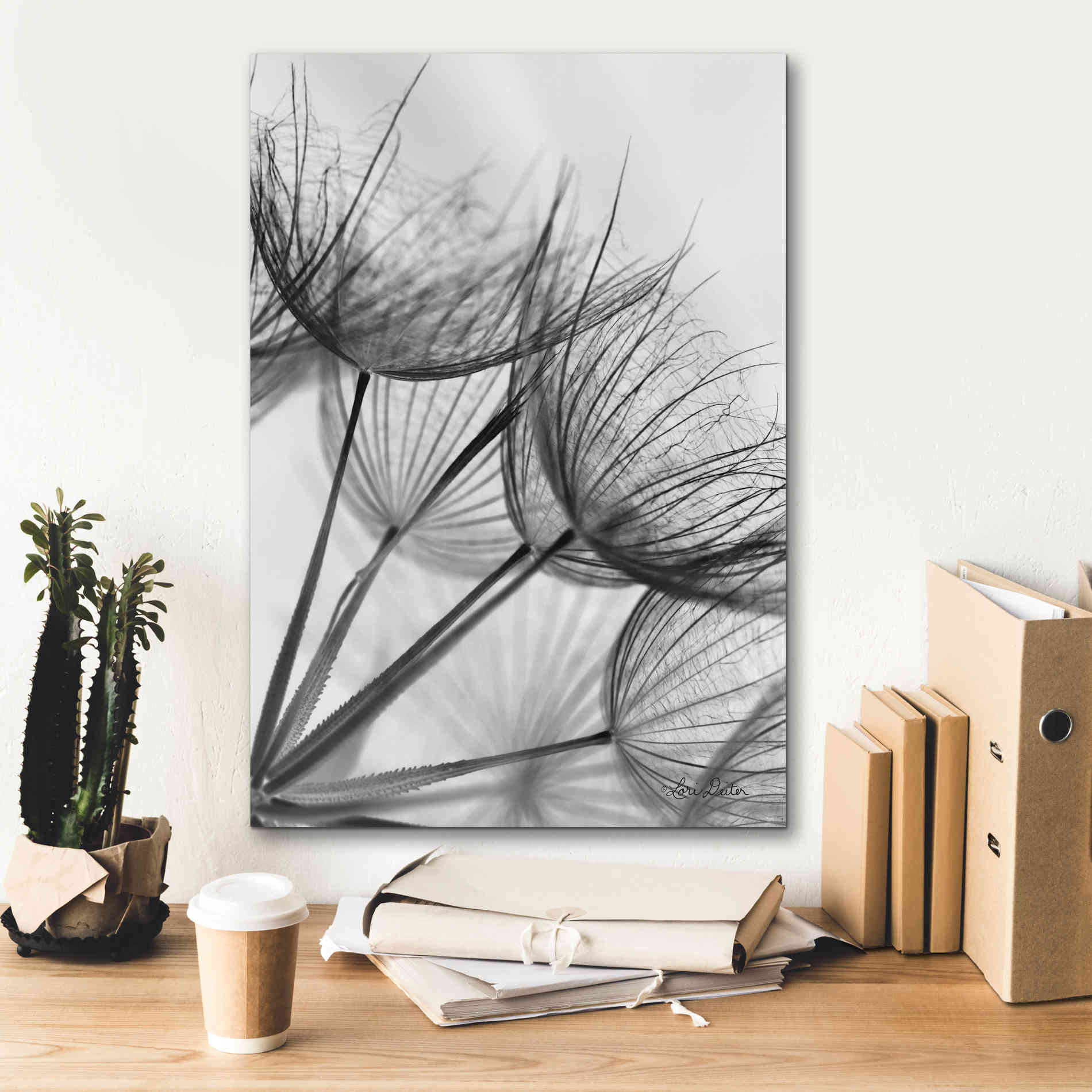 'Goatsbeard II' by Lori Deiter, Canvas Wall Art,18 x 26