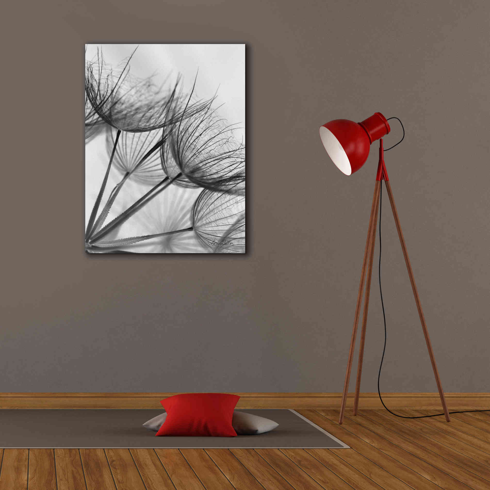 'Goatsbeard II' by Lori Deiter, Canvas Wall Art,26 x 34