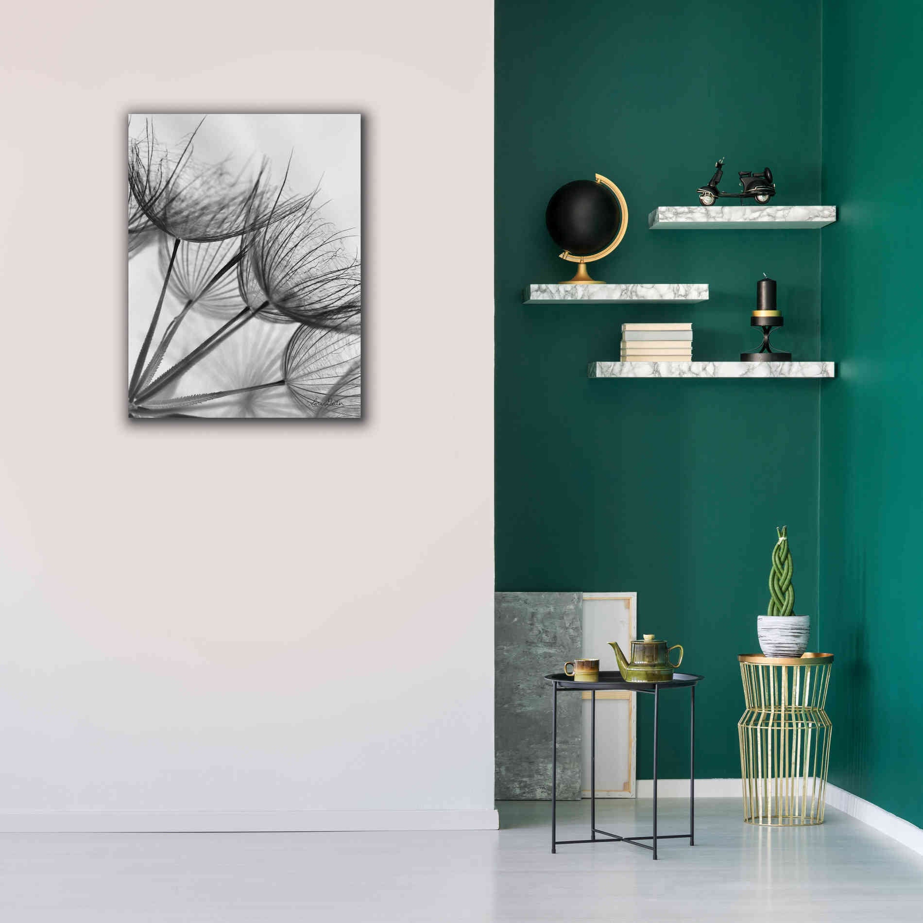 'Goatsbeard II' by Lori Deiter, Canvas Wall Art,26 x 34