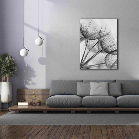 Image of 'Goatsbeard II' by Lori Deiter, Canvas Wall Art,40 x 54