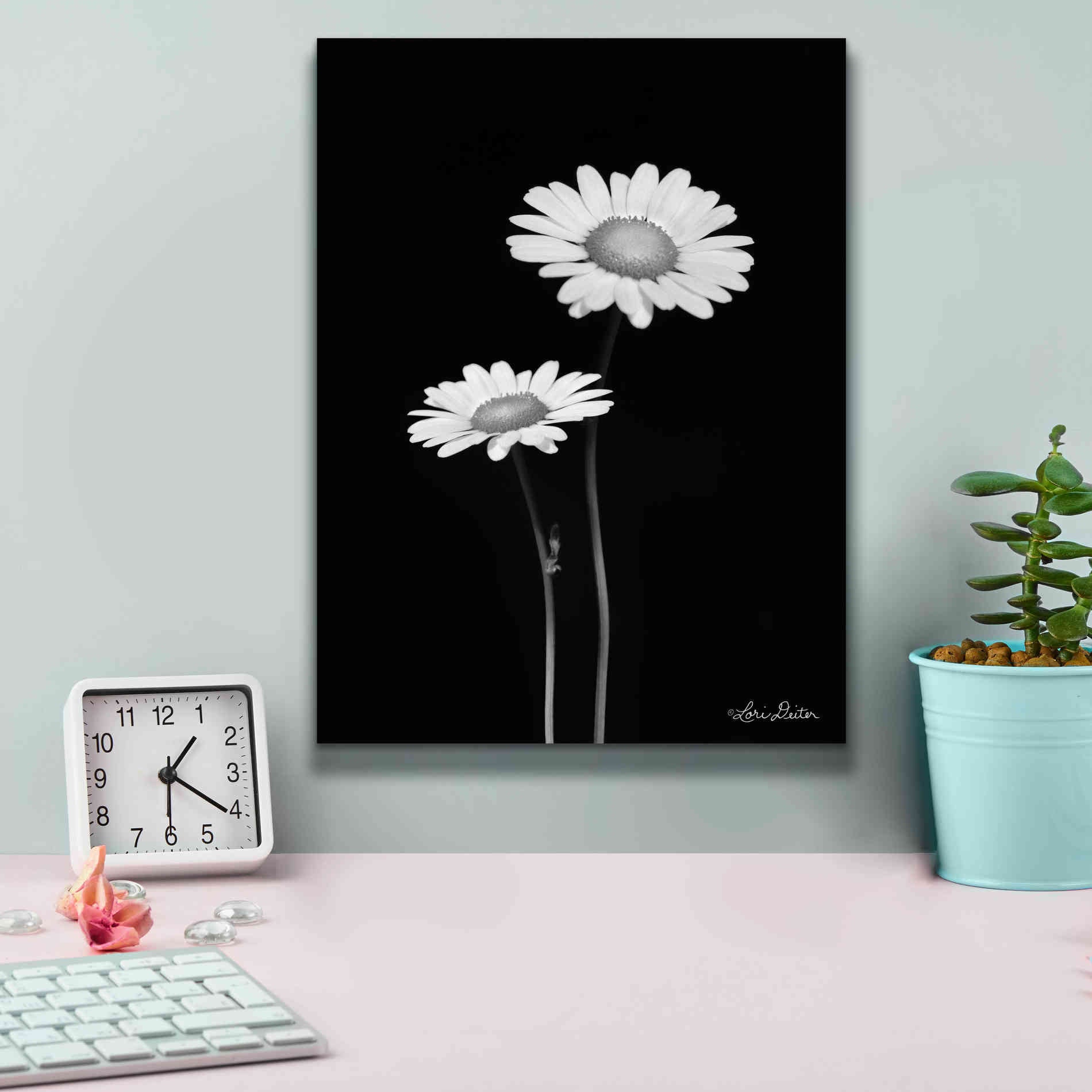 'Pair of Daisies' by Lori Deiter, Canvas Wall Art,12 x 16