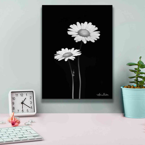 Image of 'Pair of Daisies' by Lori Deiter, Canvas Wall Art,12 x 16