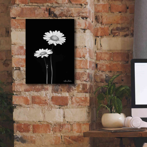 Image of 'Pair of Daisies' by Lori Deiter, Canvas Wall Art,12 x 16