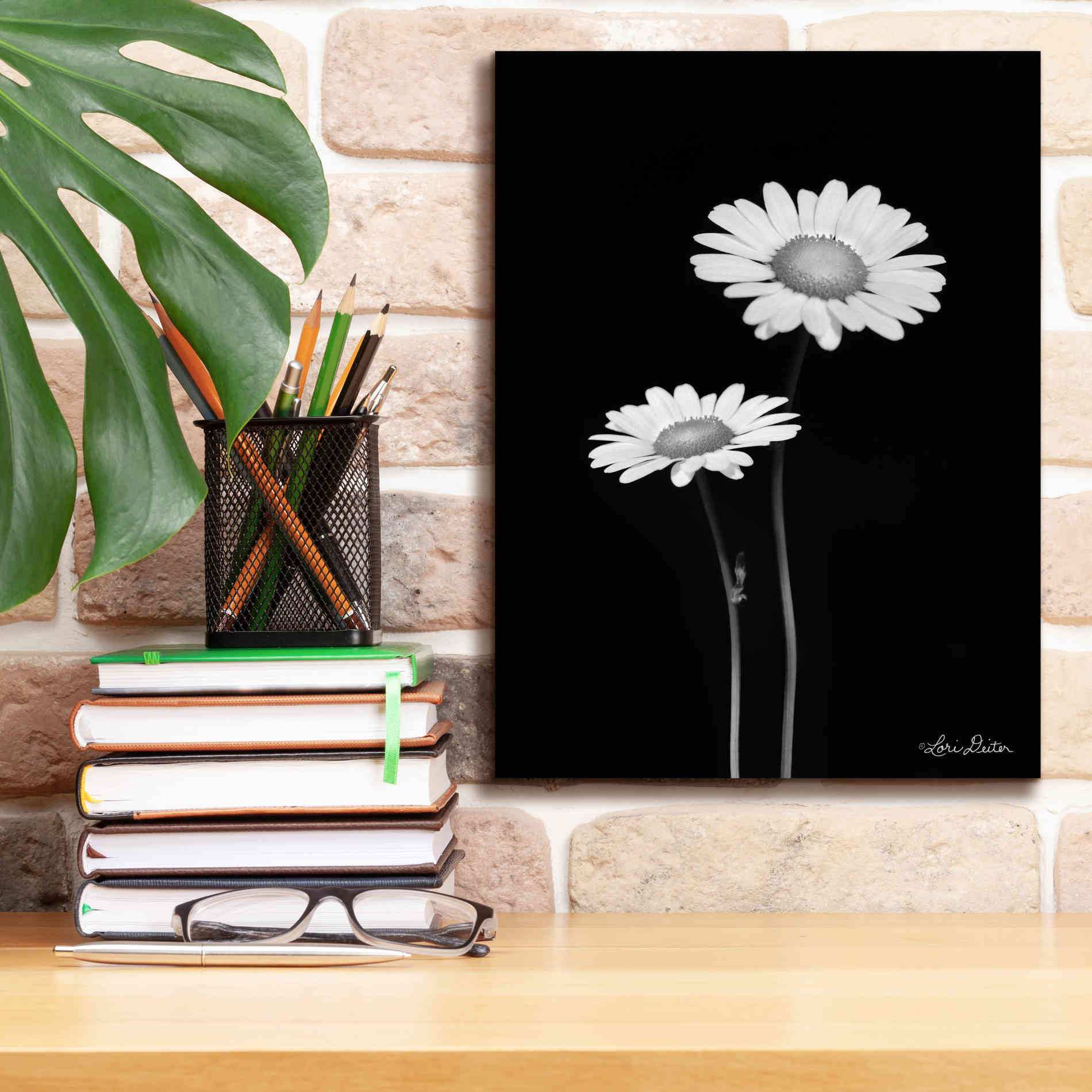 'Pair of Daisies' by Lori Deiter, Canvas Wall Art,12 x 16