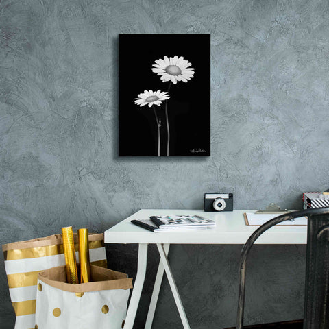 Image of 'Pair of Daisies' by Lori Deiter, Canvas Wall Art,12 x 16