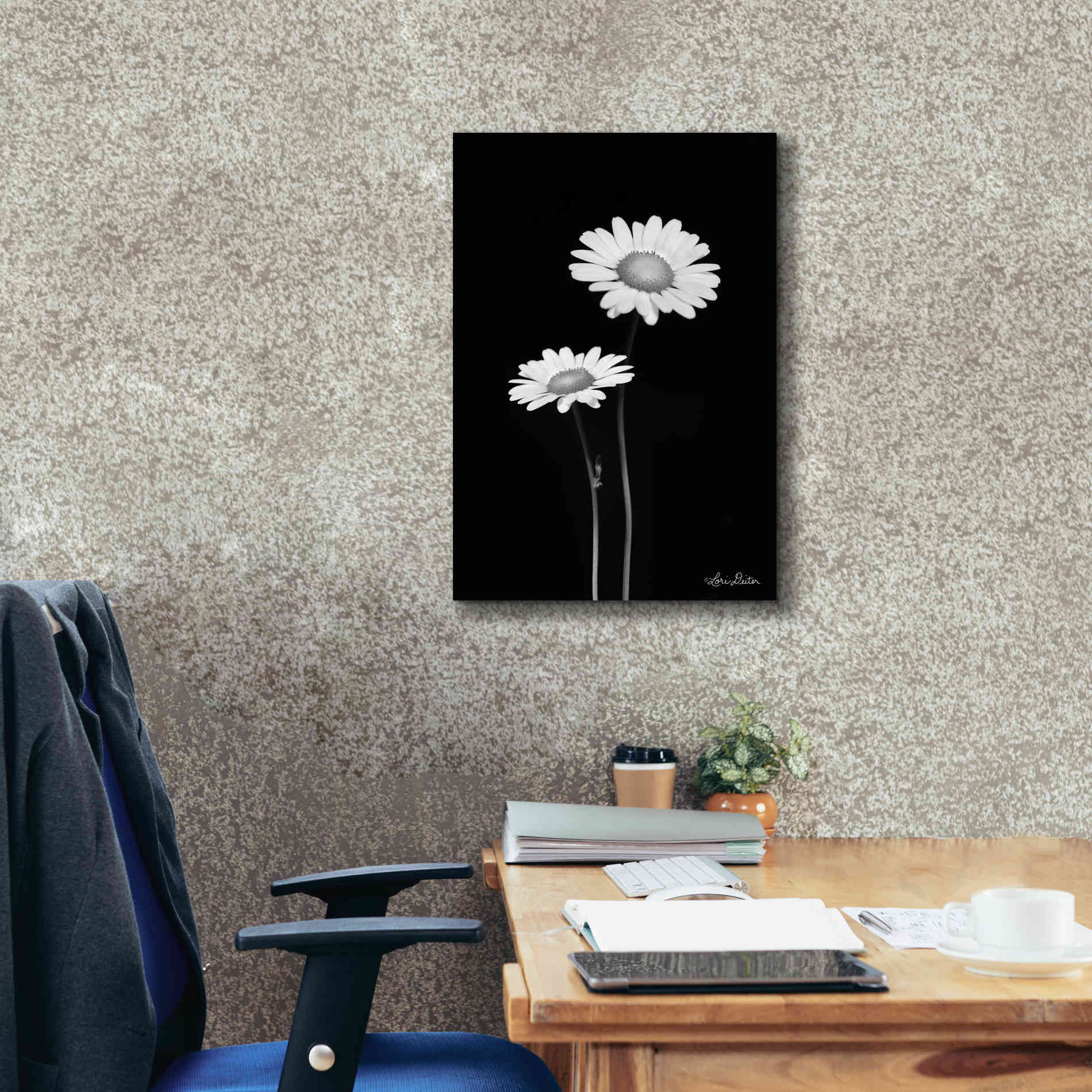 'Pair of Daisies' by Lori Deiter, Canvas Wall Art,18 x 26