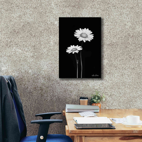 Image of 'Pair of Daisies' by Lori Deiter, Canvas Wall Art,18 x 26
