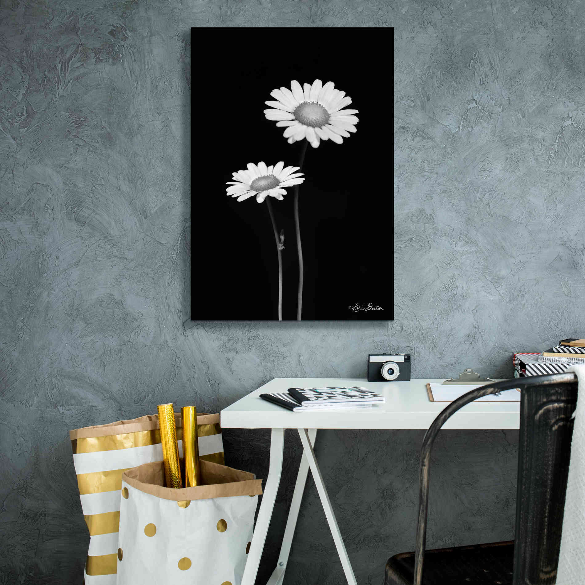 'Pair of Daisies' by Lori Deiter, Canvas Wall Art,18 x 26