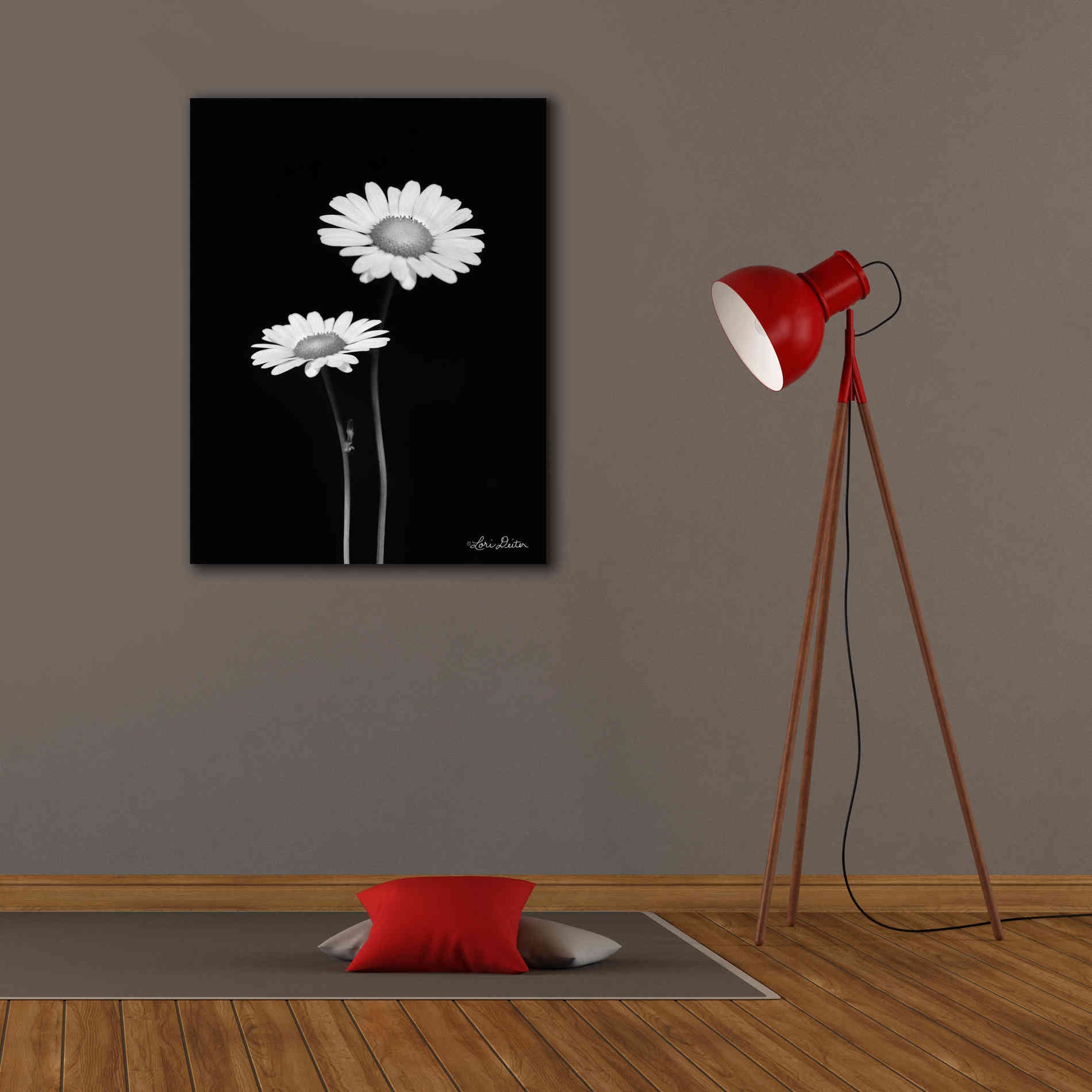 'Pair of Daisies' by Lori Deiter, Canvas Wall Art,26 x 34