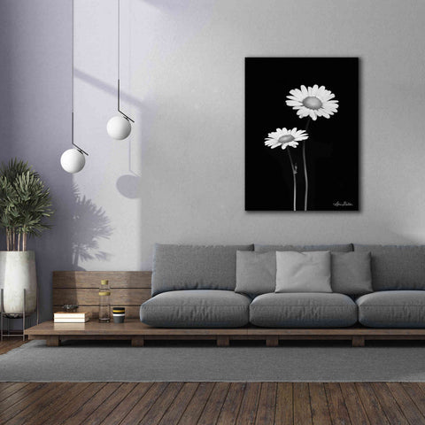 Image of 'Pair of Daisies' by Lori Deiter, Canvas Wall Art,40 x 54