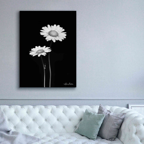 Image of 'Pair of Daisies' by Lori Deiter, Canvas Wall Art,40 x 54