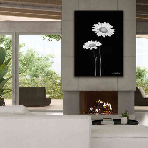 Image of 'Pair of Daisies' by Lori Deiter, Canvas Wall Art,40 x 54