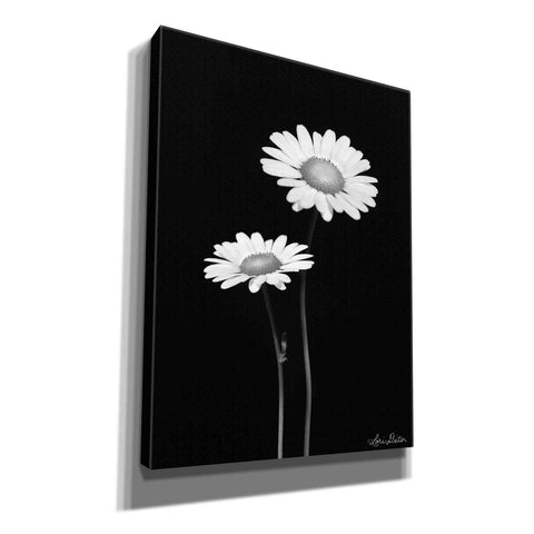 Image of 'Pair of Daisies' by Lori Deiter, Canvas Wall Art