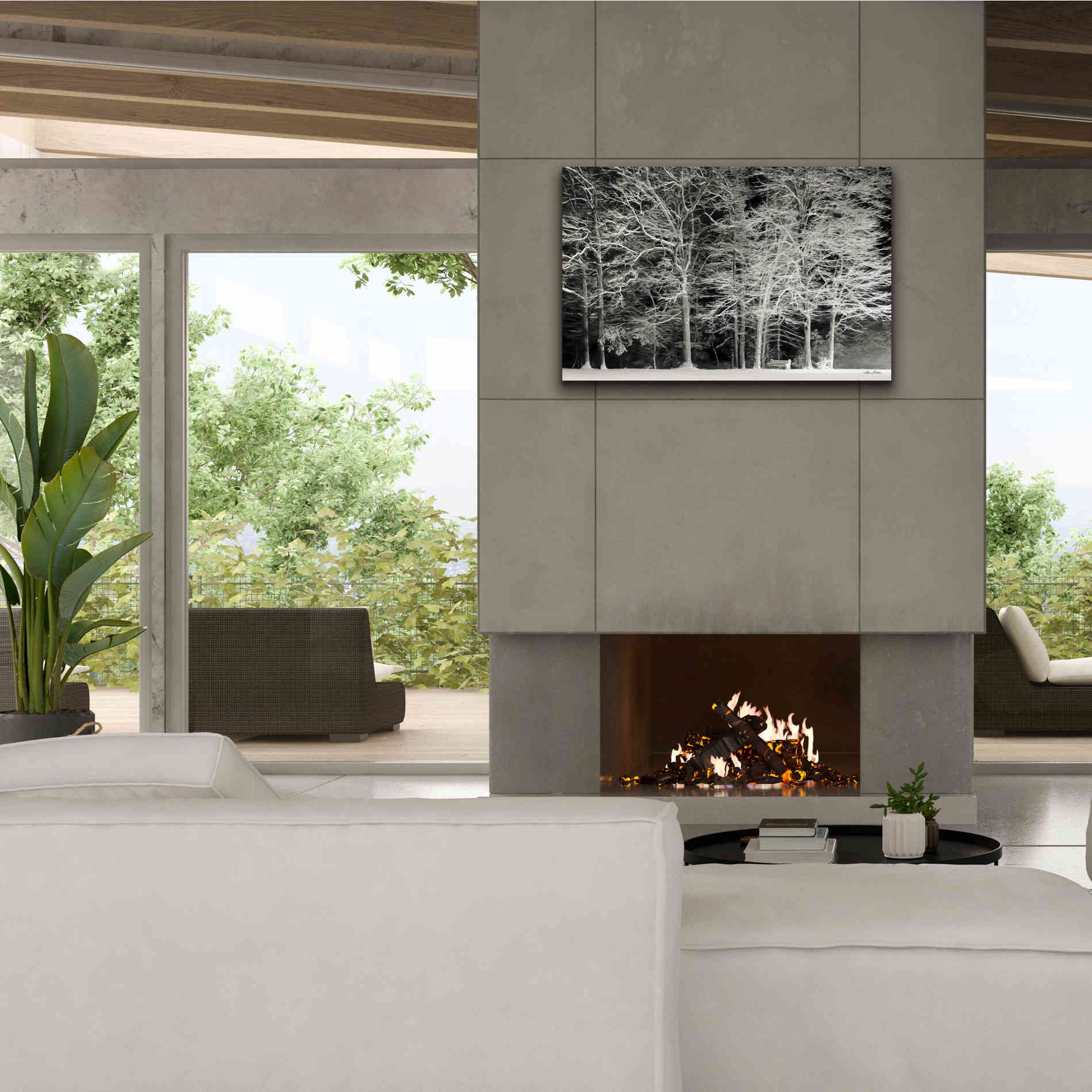 'Snowy Trees' by Lori Deiter, Canvas Wall Art,40 x 26