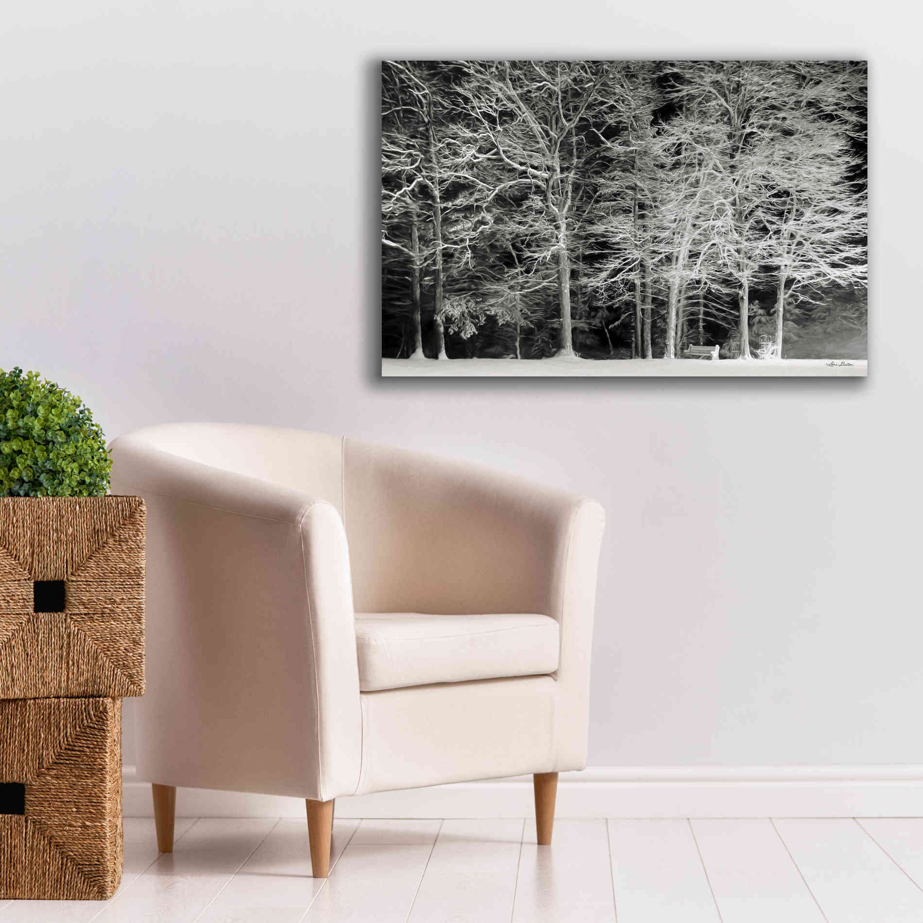 'Snowy Trees' by Lori Deiter, Canvas Wall Art,40 x 26