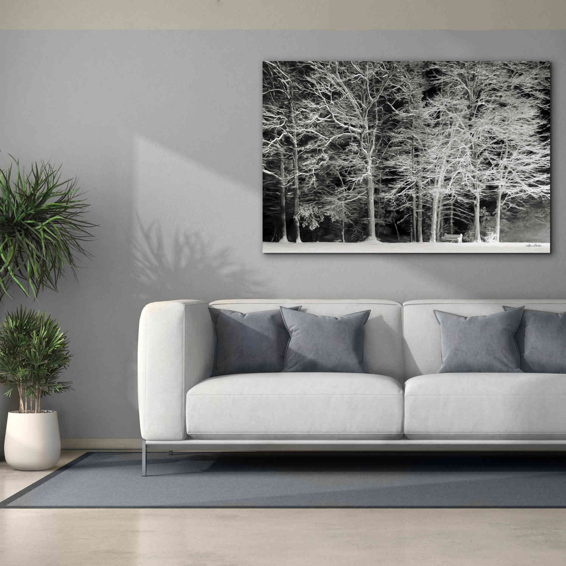 'Snowy Trees' by Lori Deiter, Canvas Wall Art,60 x 40