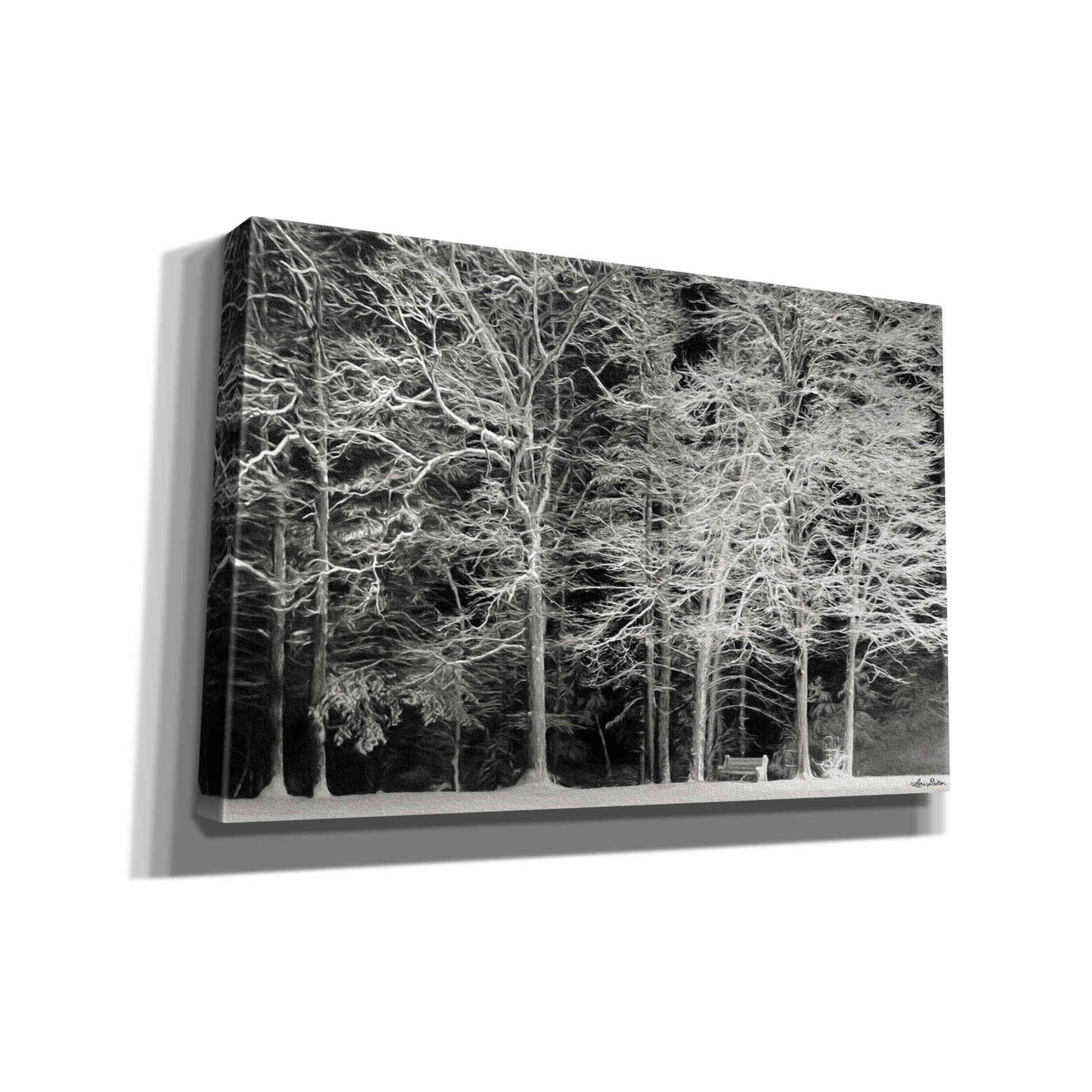 'Snowy Trees' by Lori Deiter, Canvas Wall Art