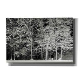 'Snowy Trees' by Lori Deiter, Canvas Wall Art
