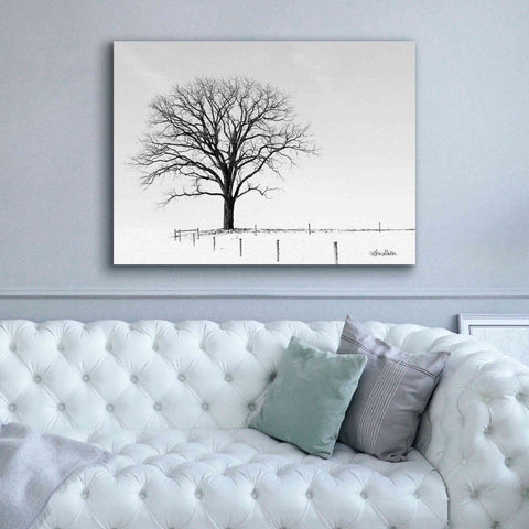 Image of 'Bare' by Lori Deiter, Canvas Wall Art,54 x 40