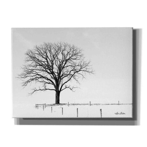 Image of 'Bare' by Lori Deiter, Canvas Wall Art