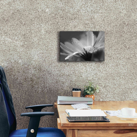 Image of 'Daisy' by Lori Deiter, Canvas Wall Art,18 x 12