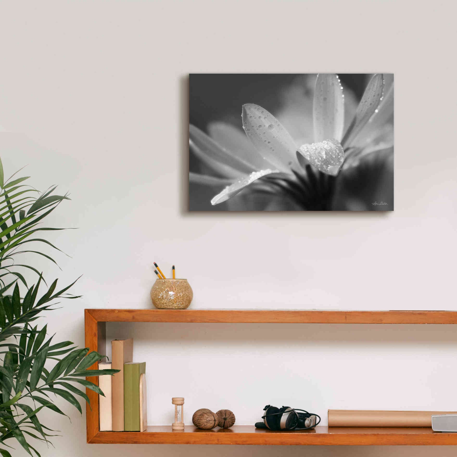 'Daisy' by Lori Deiter, Canvas Wall Art,18 x 12