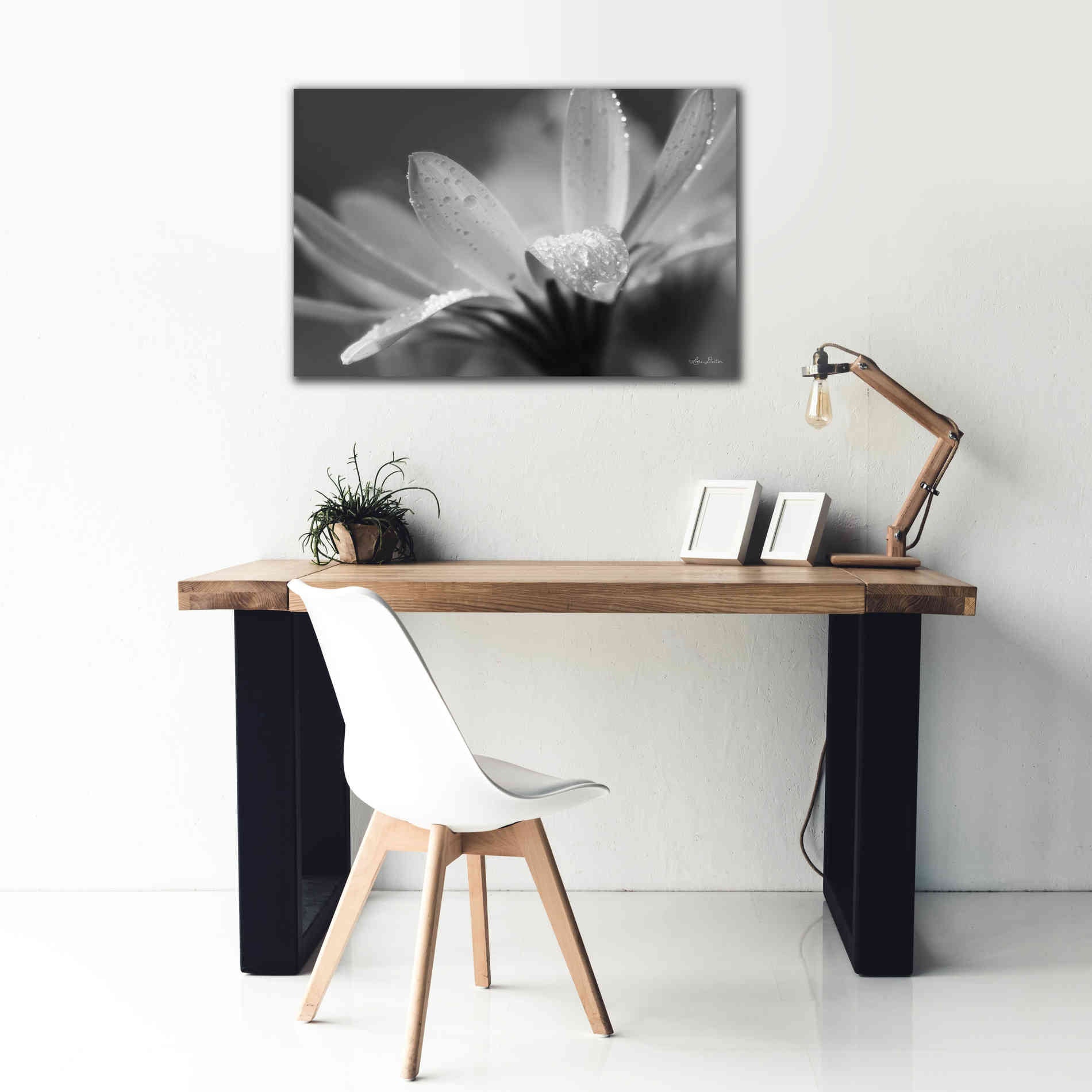 'Daisy' by Lori Deiter, Canvas Wall Art,40 x 26