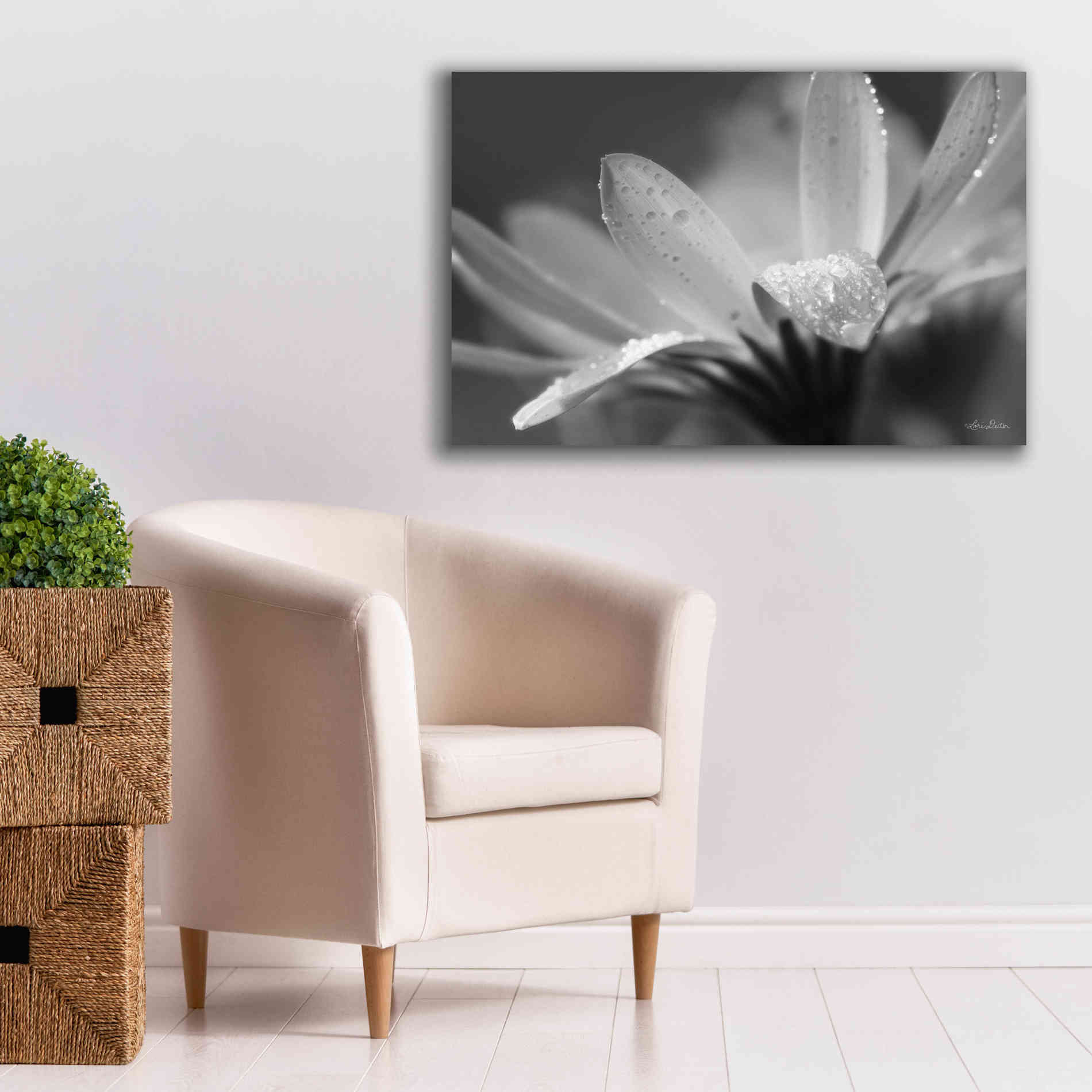 'Daisy' by Lori Deiter, Canvas Wall Art,40 x 26