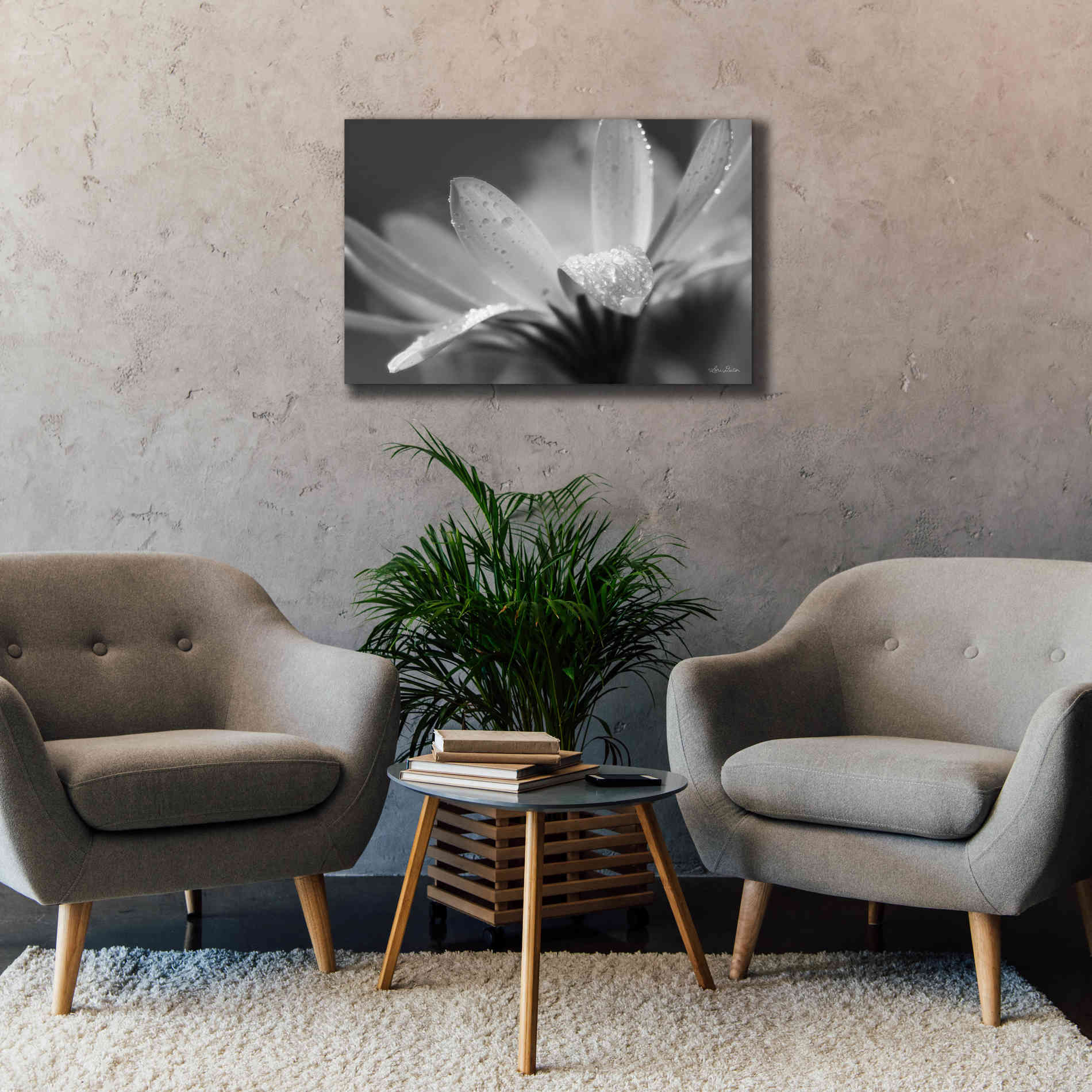 'Daisy' by Lori Deiter, Canvas Wall Art,40 x 26