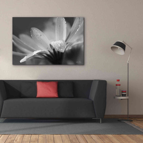 Image of 'Daisy' by Lori Deiter, Canvas Wall Art,60 x 40