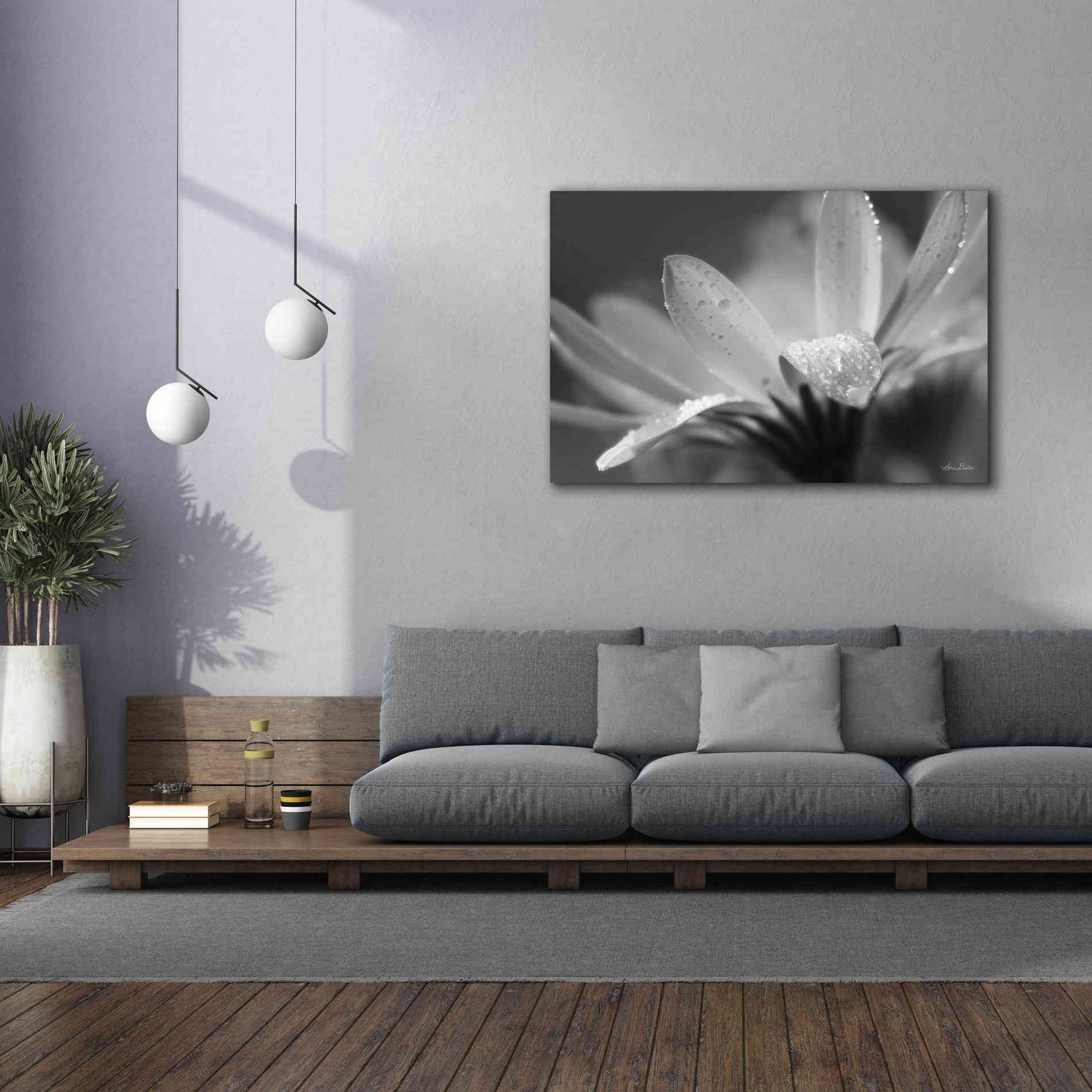 'Daisy' by Lori Deiter, Canvas Wall Art,60 x 40