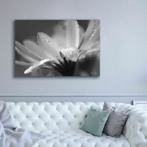 Image of 'Daisy' by Lori Deiter, Canvas Wall Art,60 x 40