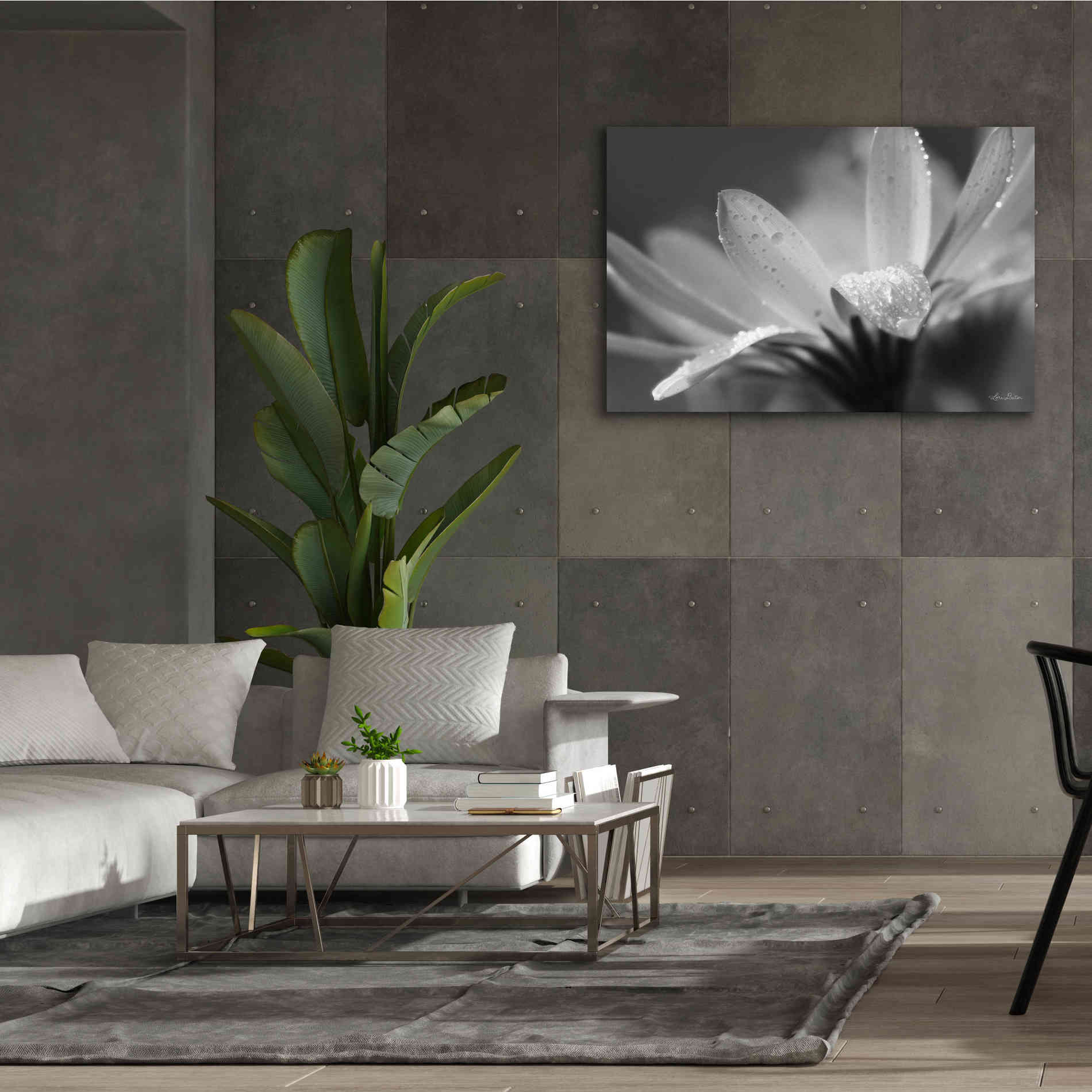 'Daisy' by Lori Deiter, Canvas Wall Art,60 x 40