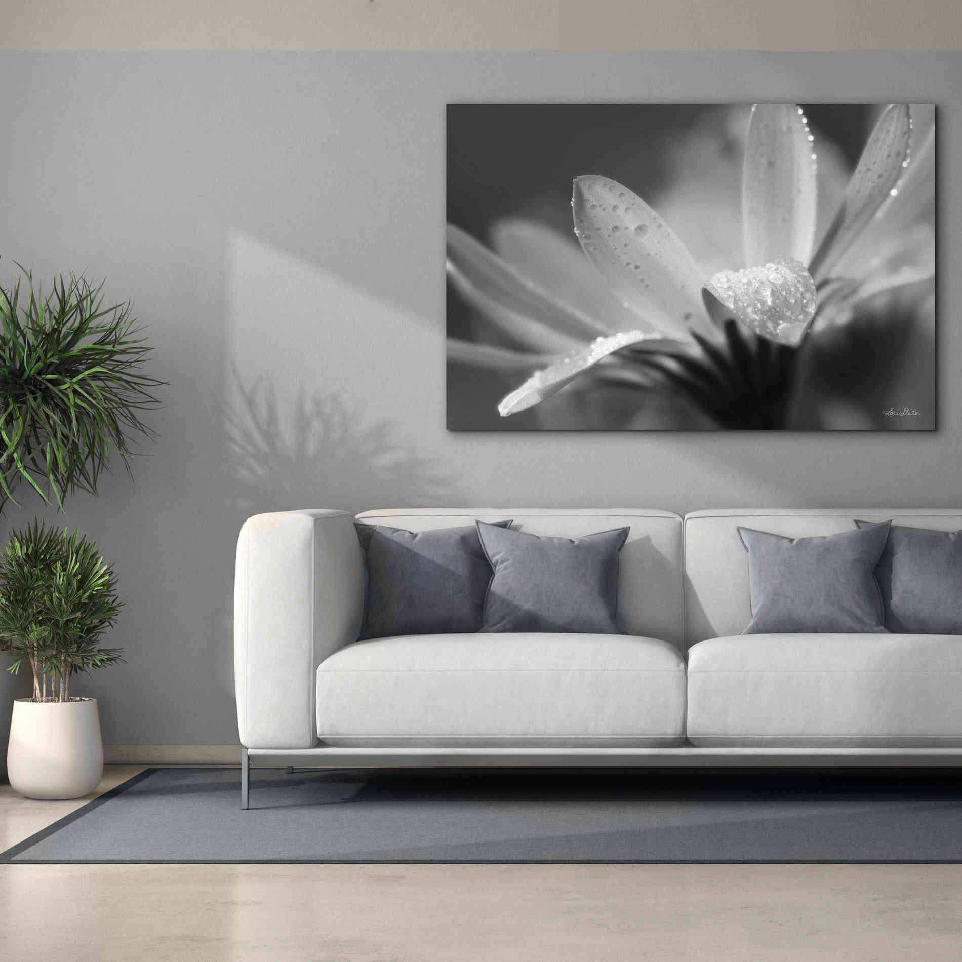 'Daisy' by Lori Deiter, Canvas Wall Art,60 x 40