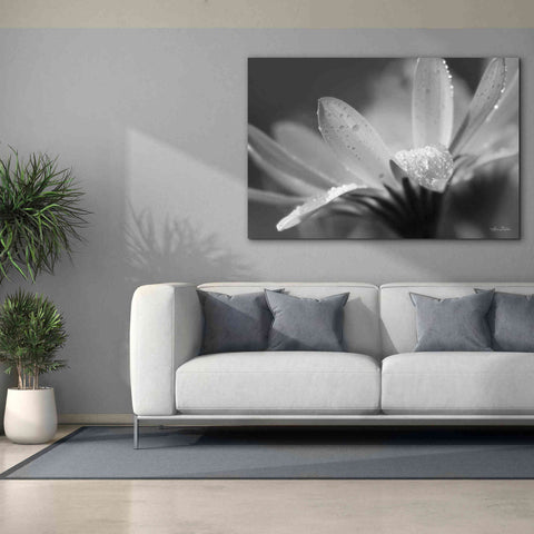 Image of 'Daisy' by Lori Deiter, Canvas Wall Art,60 x 40