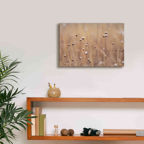 Image of 'Snow Capped Wildflowers' by Lori Deiter, Canvas Wall Art,18 x 12