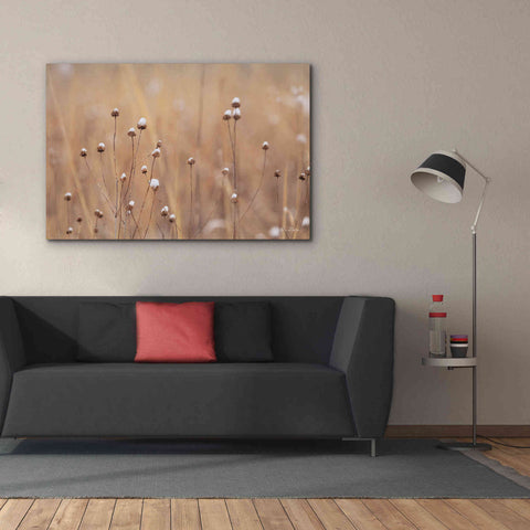 Image of 'Snow Capped Wildflowers' by Lori Deiter, Canvas Wall Art,60 x 40