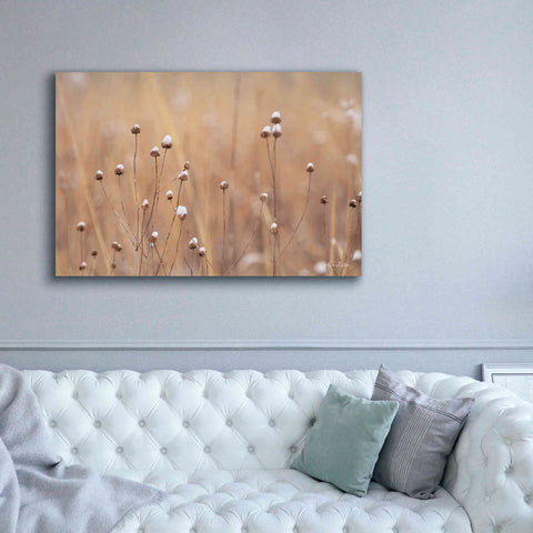 Image of 'Snow Capped Wildflowers' by Lori Deiter, Canvas Wall Art,60 x 40
