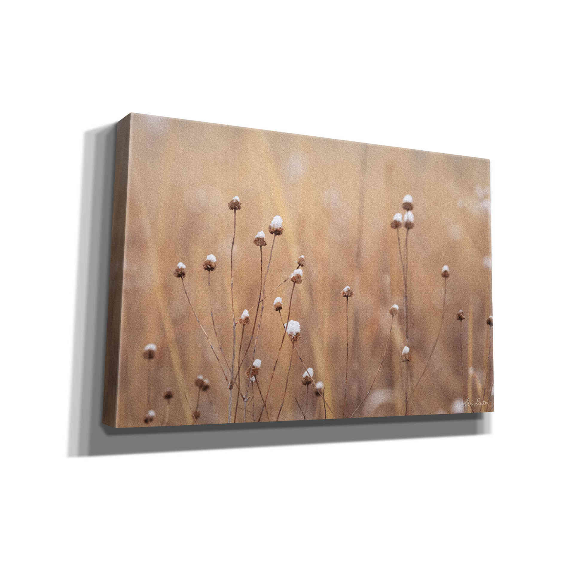 'Snow Capped Wildflowers' by Lori Deiter, Canvas Wall Art