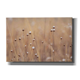 'Snow Capped Wildflowers' by Lori Deiter, Canvas Wall Art