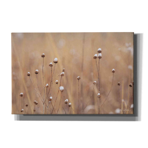 Image of 'Snow Capped Wildflowers' by Lori Deiter, Canvas Wall Art