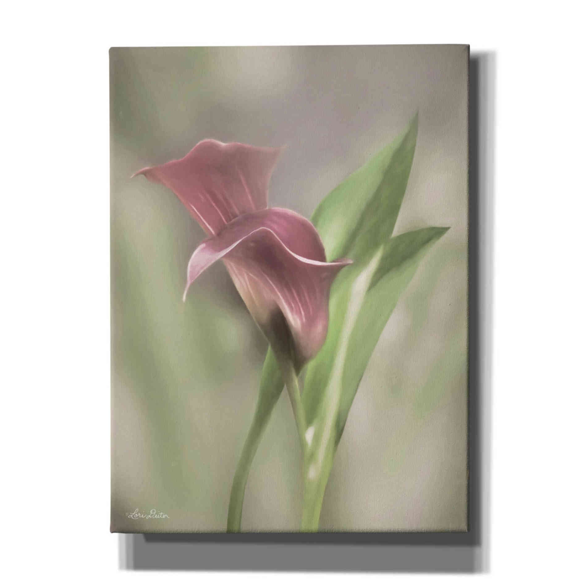'Pink Calla Lily' by Lori Deiter, Canvas Wall Art
