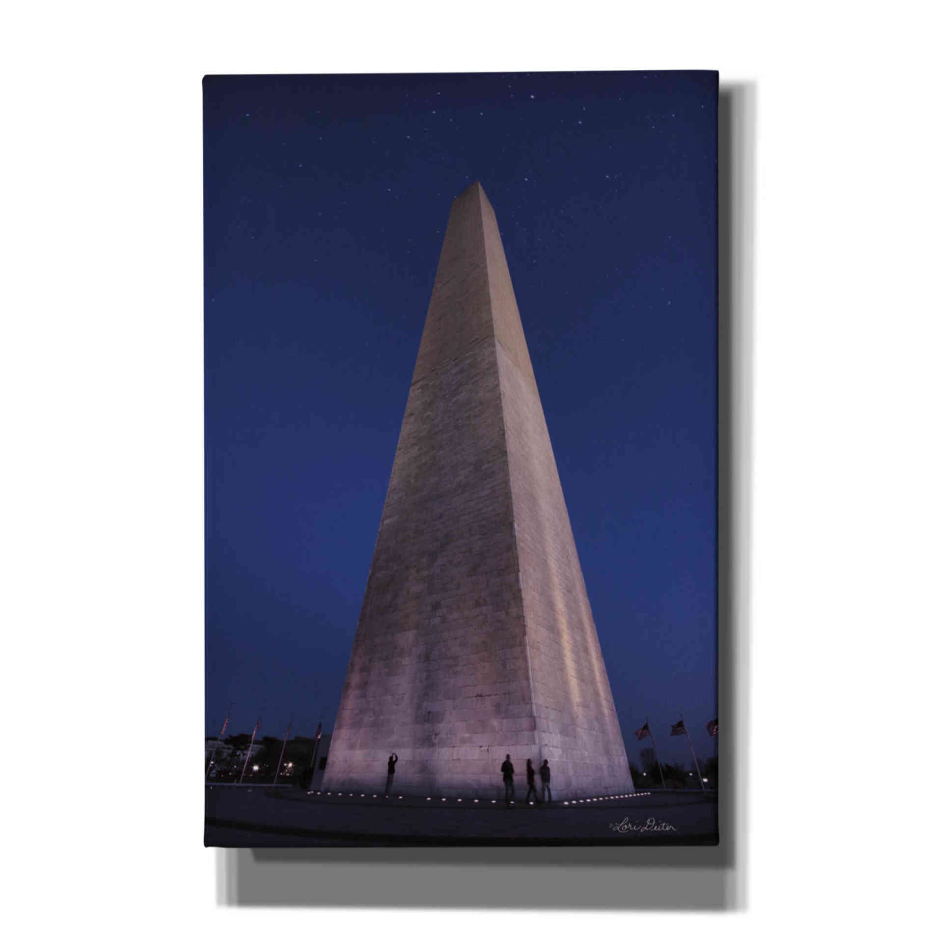 'Reach for the Stars' by Lori Deiter, Canvas Wall Art