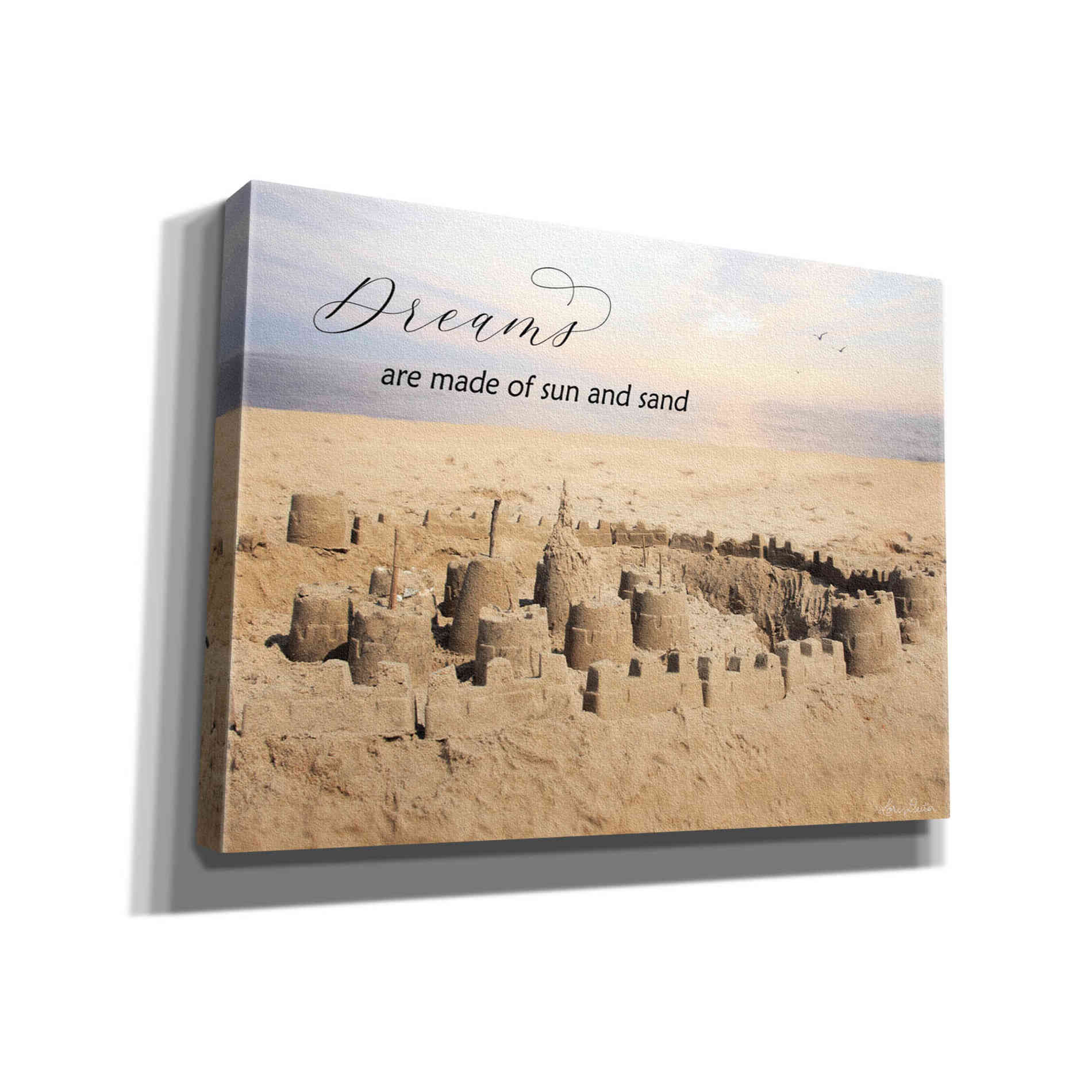 'Dreams' by Lori Deiter, Canvas Wall Art