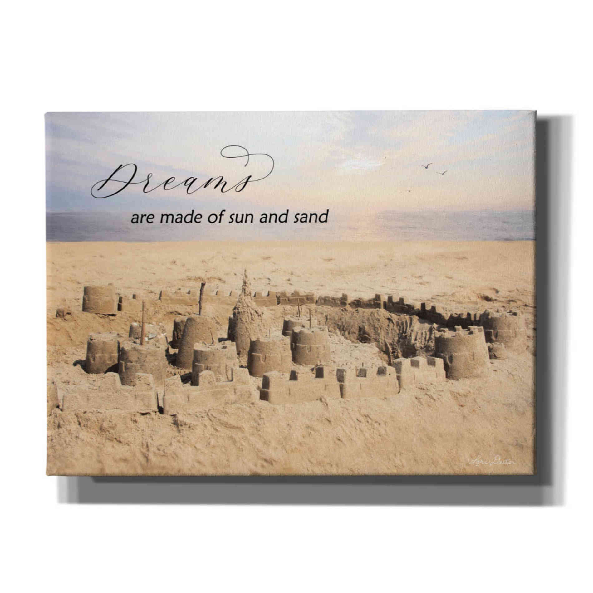 'Dreams' by Lori Deiter, Canvas Wall Art