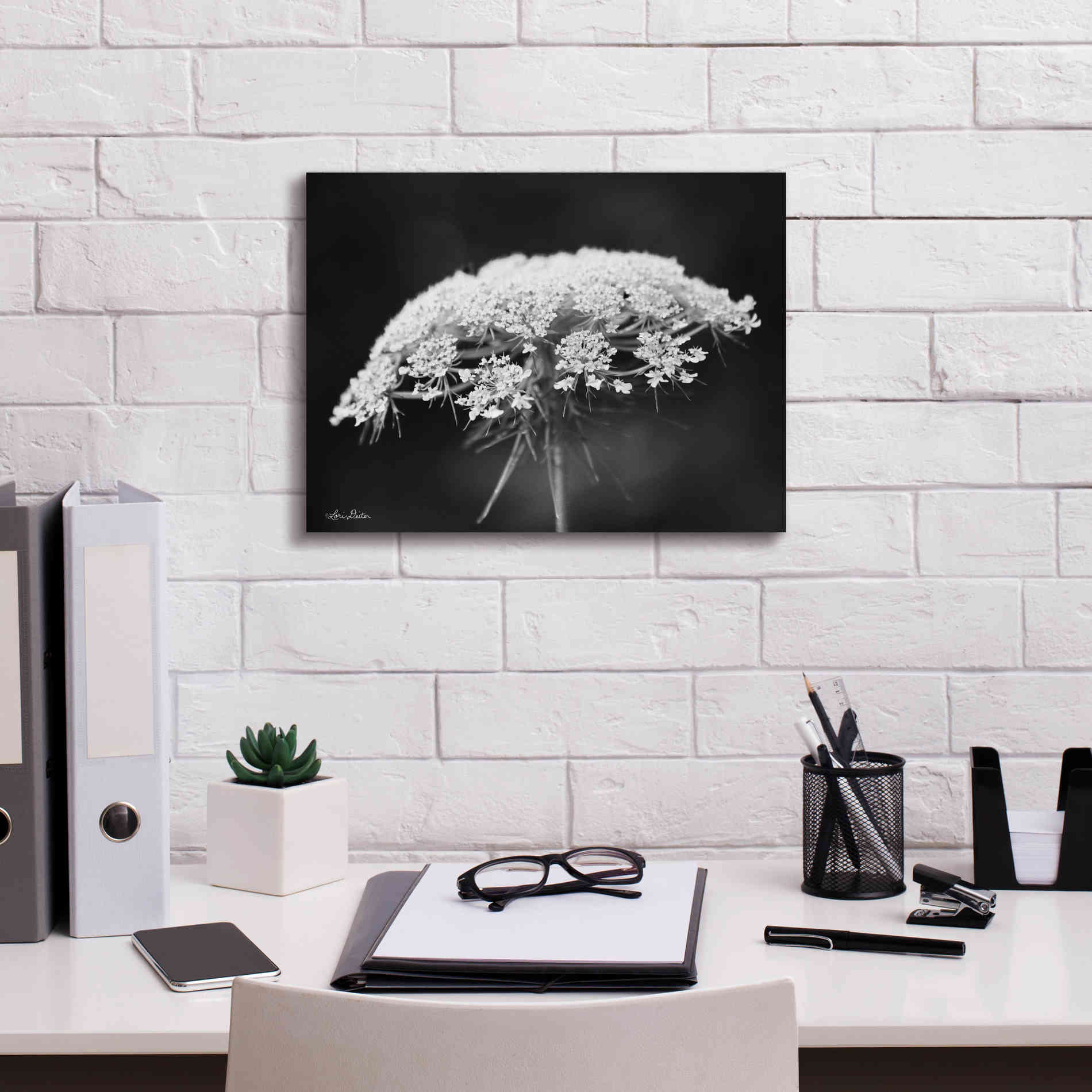 'Queen Anne's Lace' by Lori Deiter, Canvas Wall Art,16 x 12