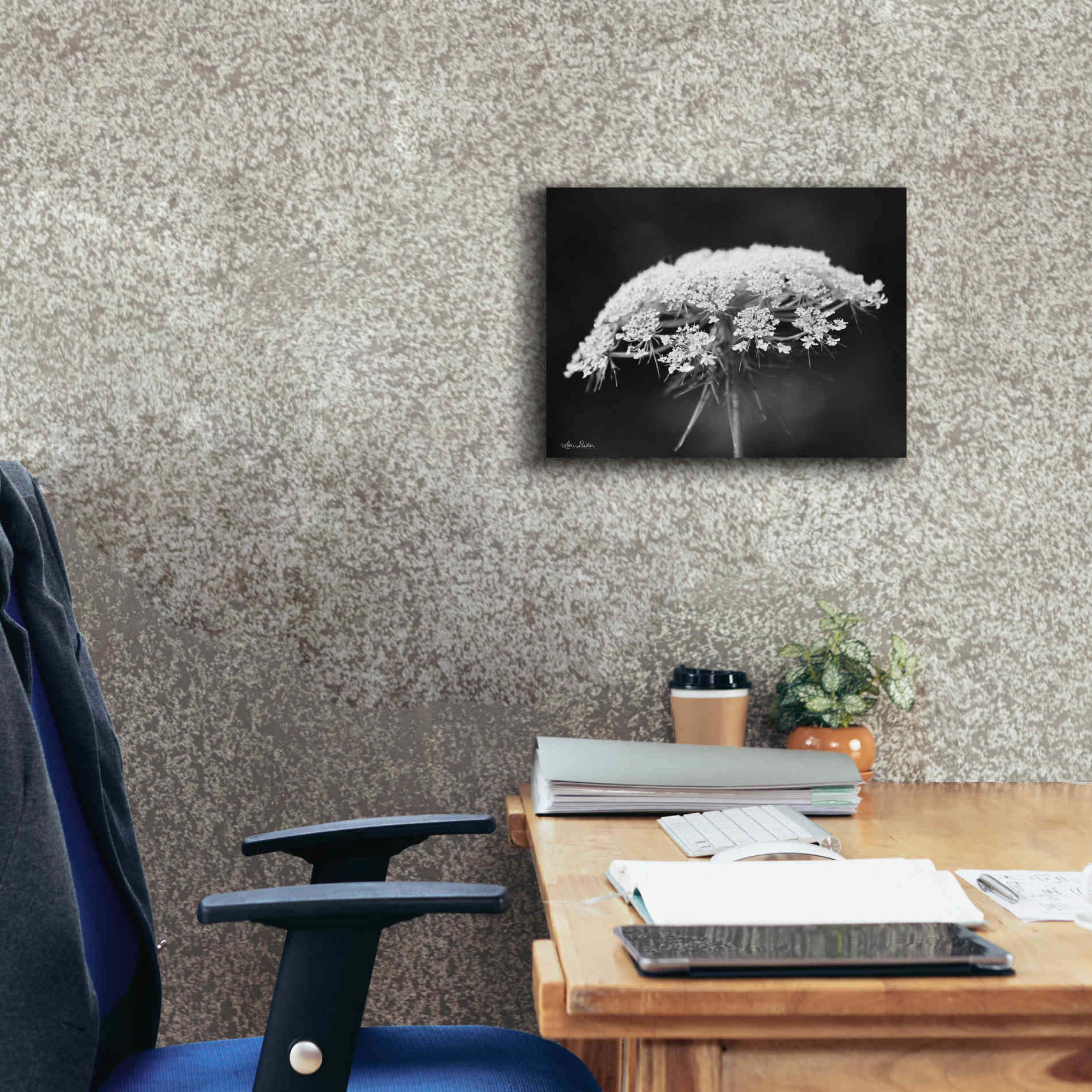 'Queen Anne's Lace' by Lori Deiter, Canvas Wall Art,16 x 12