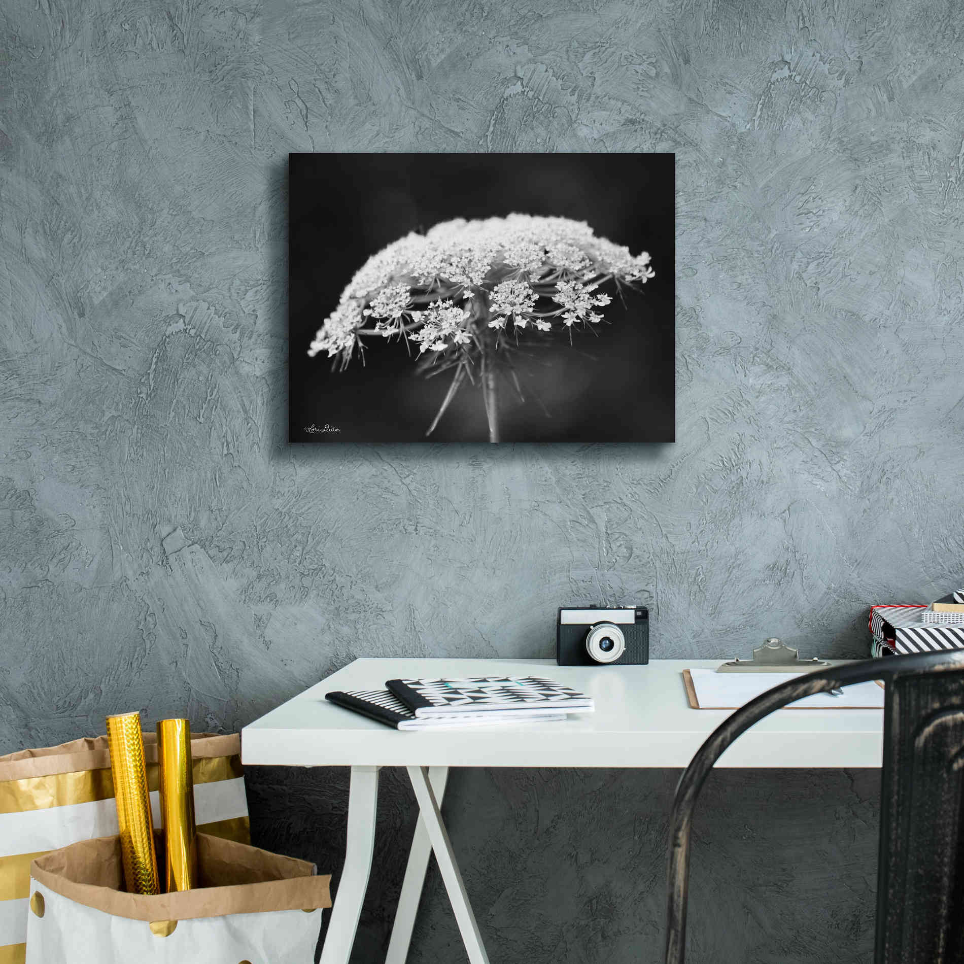 'Queen Anne's Lace' by Lori Deiter, Canvas Wall Art,16 x 12