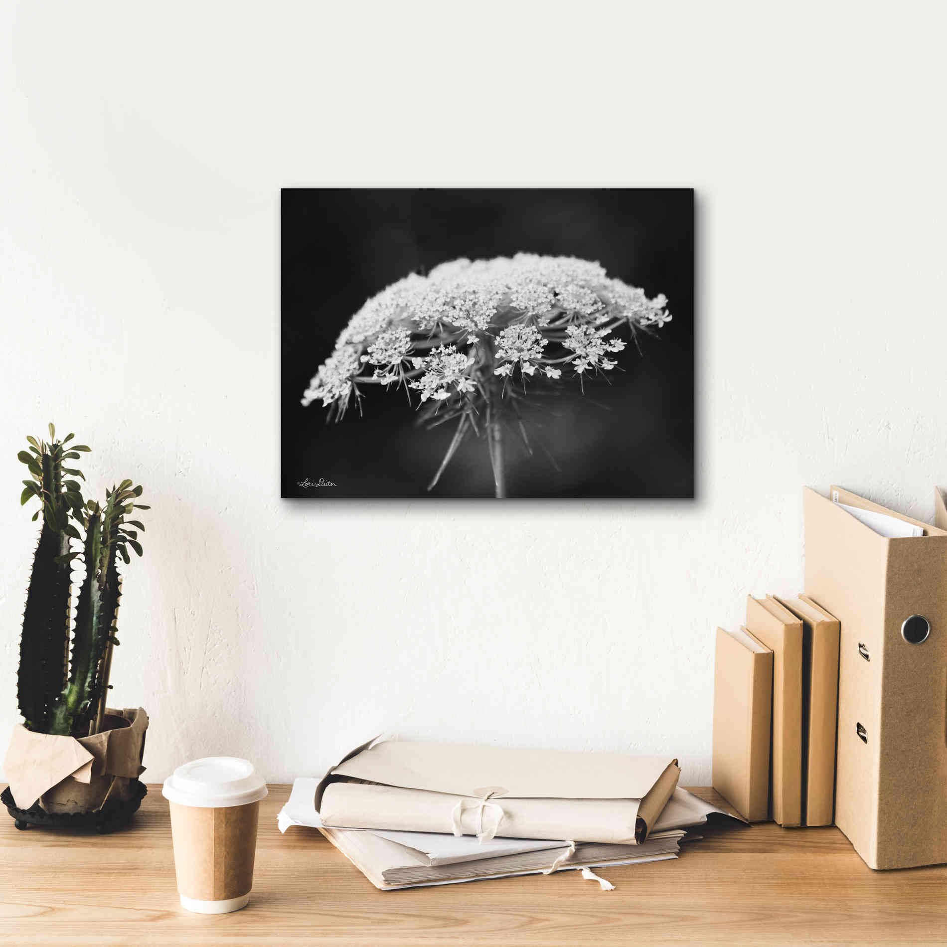 'Queen Anne's Lace' by Lori Deiter, Canvas Wall Art,16 x 12