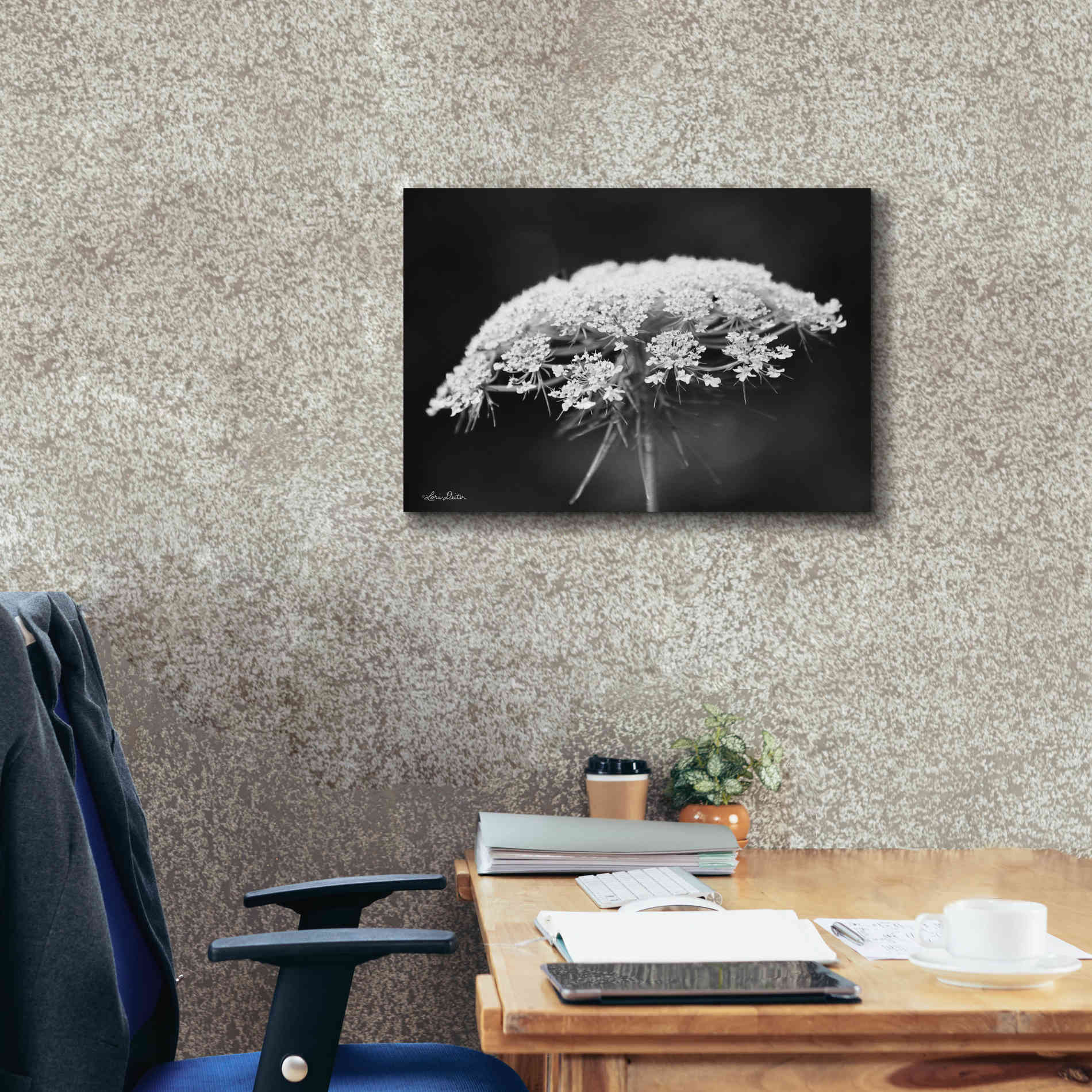 'Queen Anne's Lace' by Lori Deiter, Canvas Wall Art,26 x 18